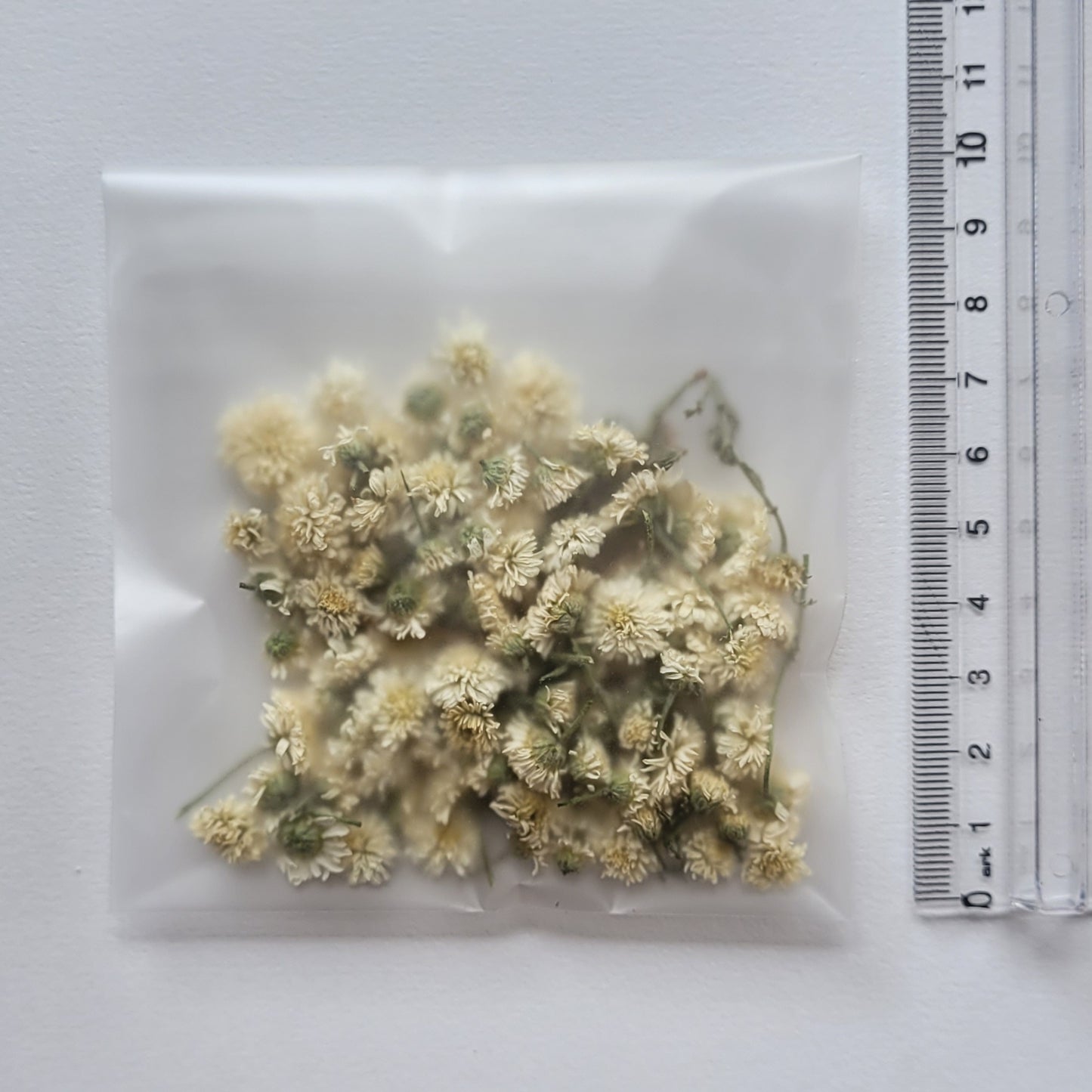 FLEURS DE CAMOMILLE ROMAINE