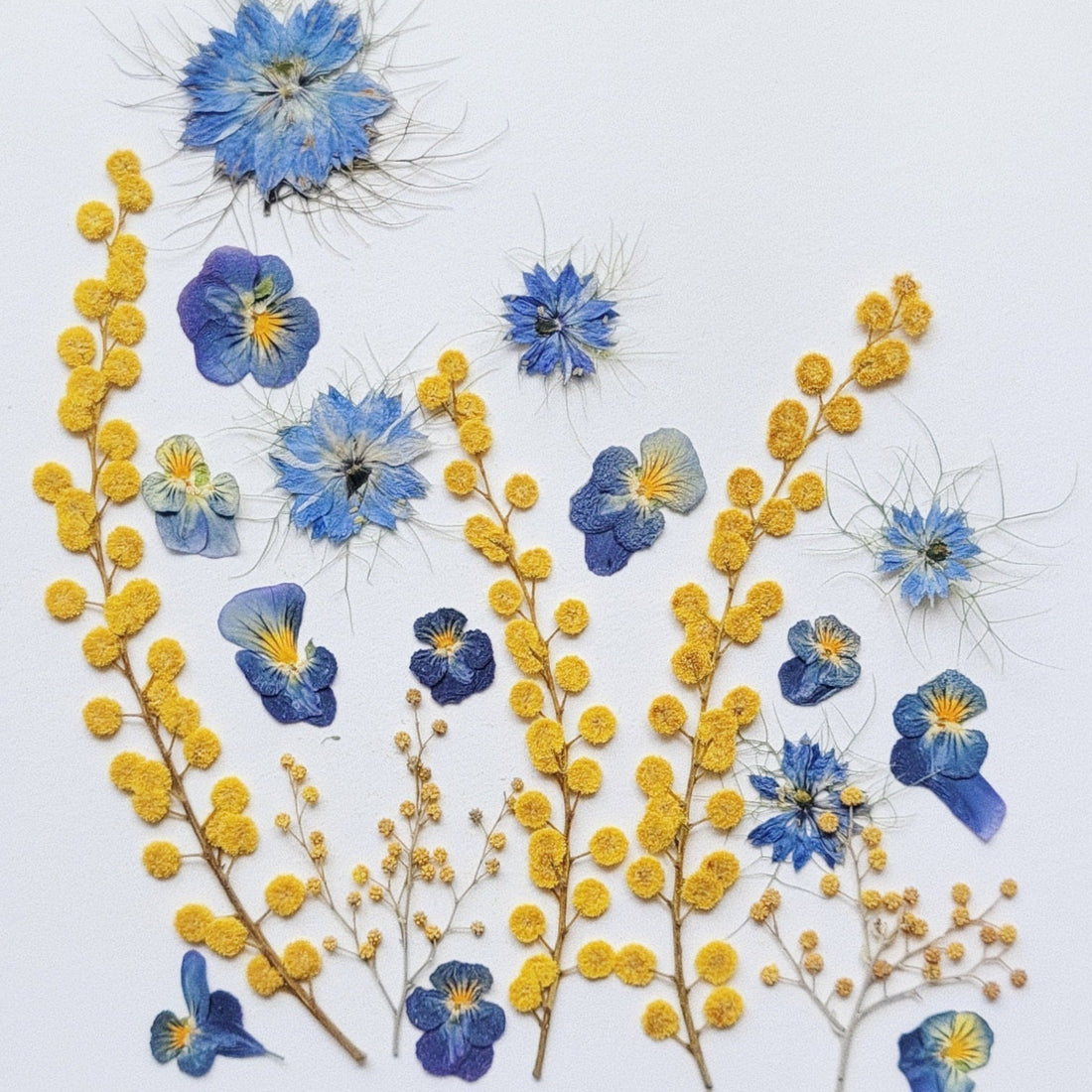 Où acheter des fleurs comestibles pressées ?