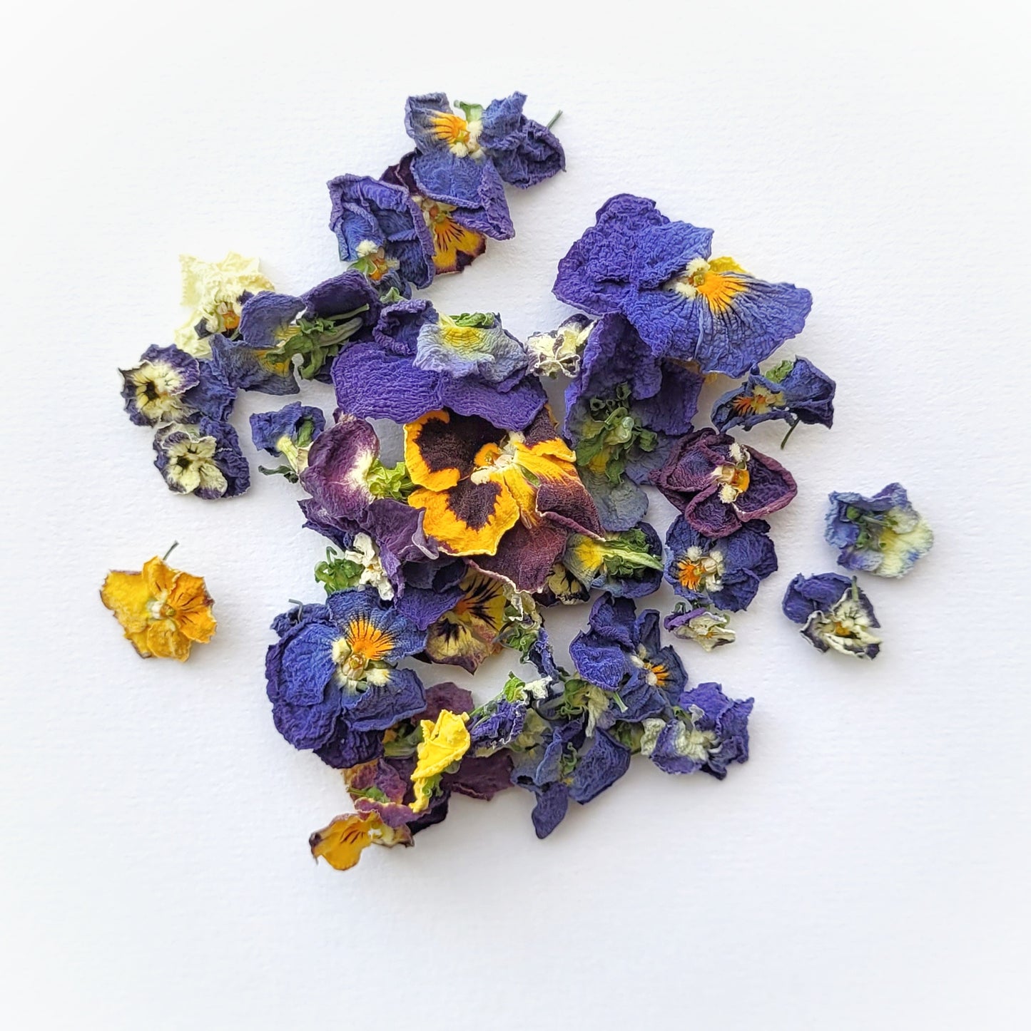 Fleurs de pensées séchées comestibles