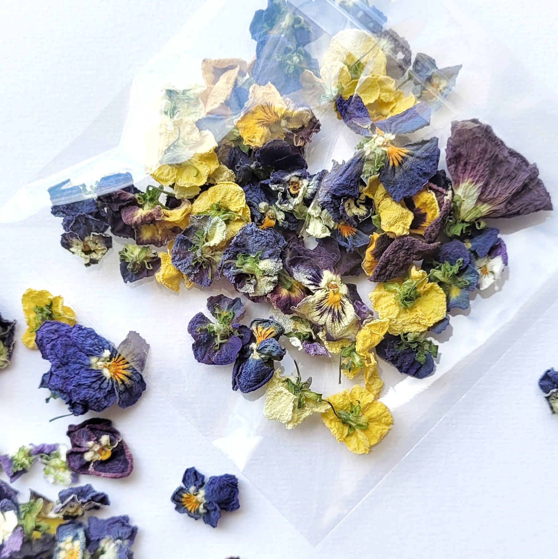 Fleurs de pensées séchées comestibles