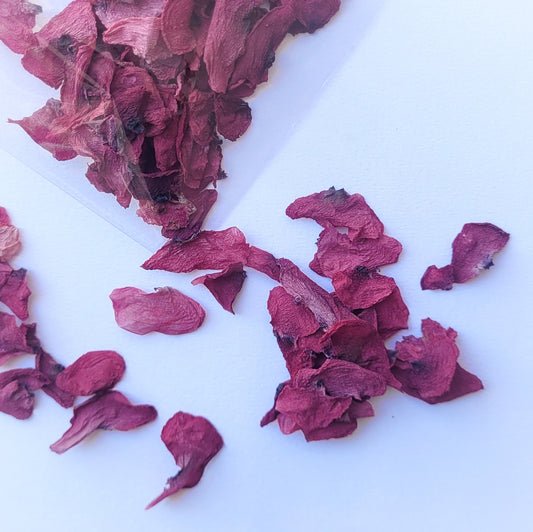 PETALES COQUELICOT