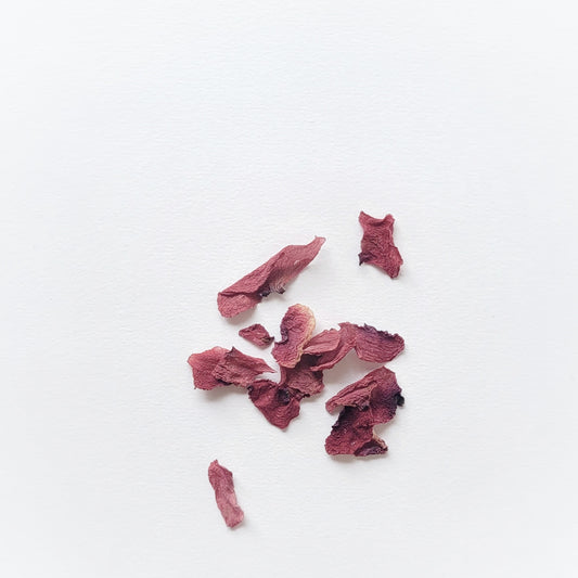 PETALES COQUELICOT