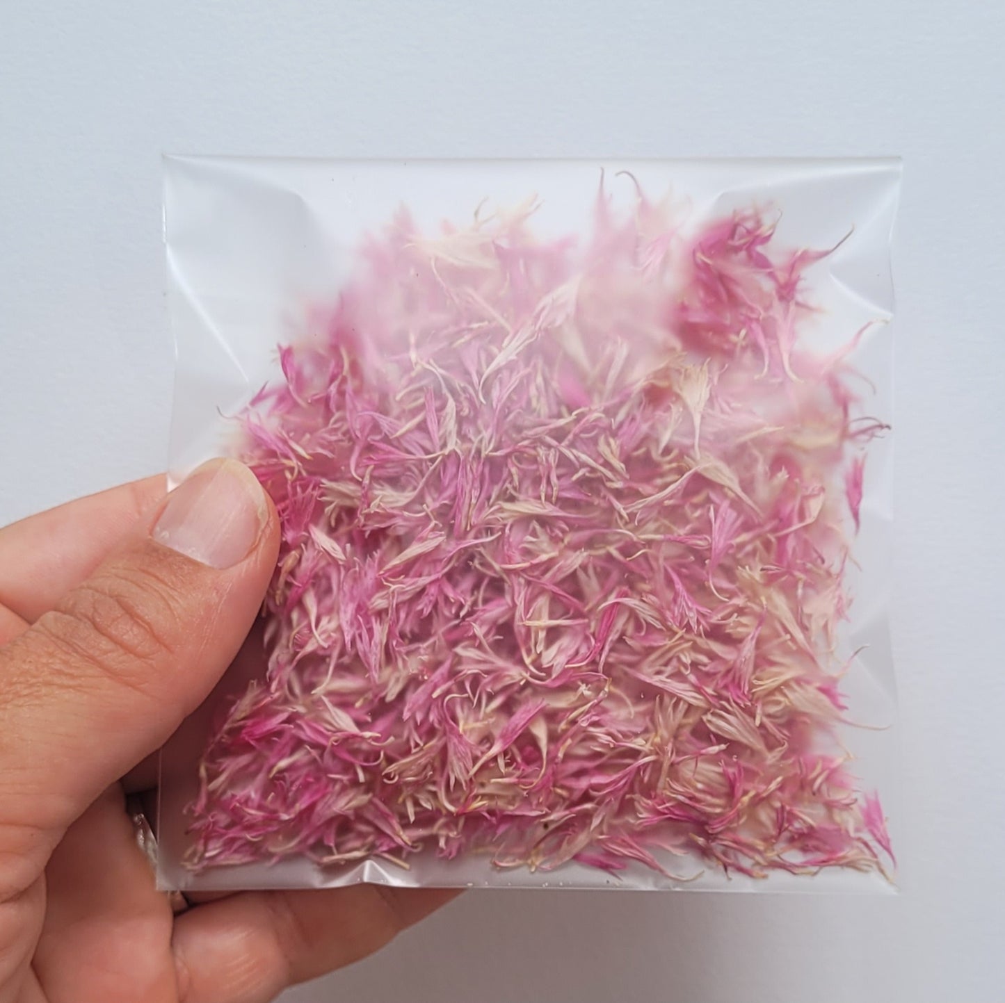 PETALES BLEUET ROSE