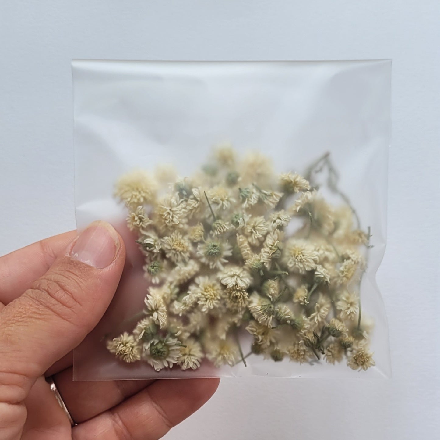 FLEURS DE CAMOMILLE ROMAINE
