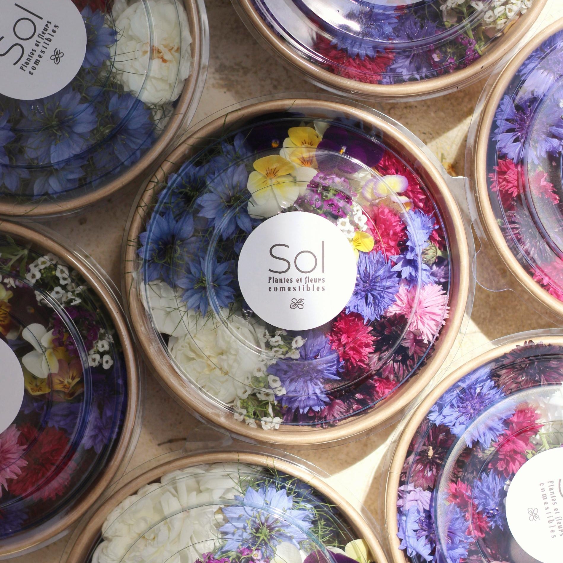 Barquettes de fleurs comestibles fraiches sol