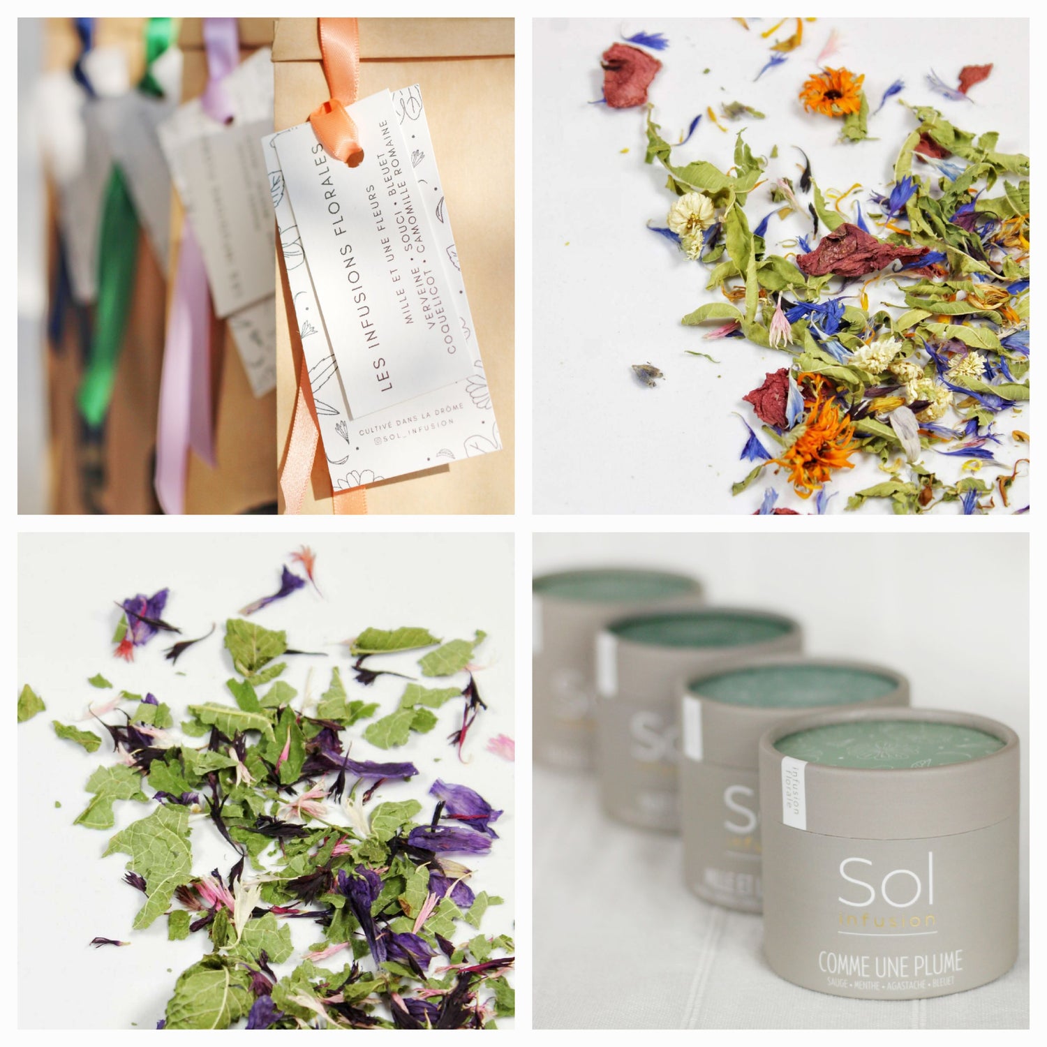 Collection infusions florales sol