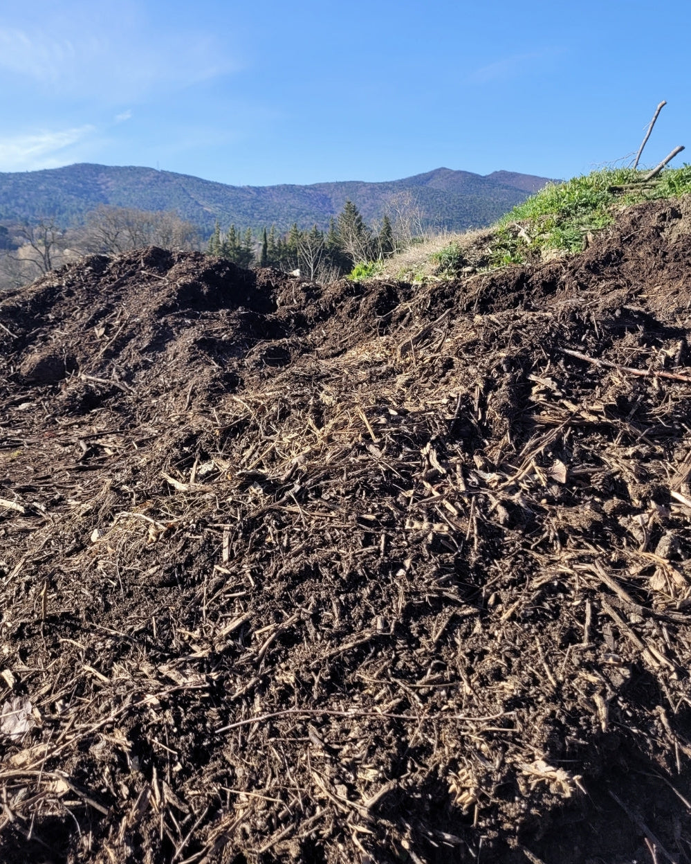 production compost jardin