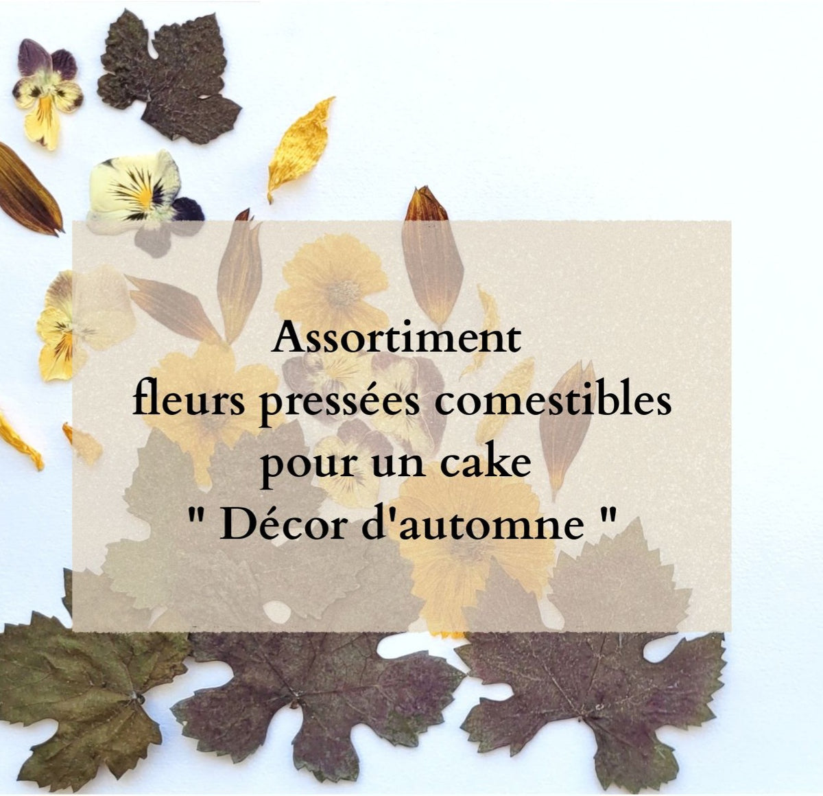 ASSORTIMENT COMESTIBLES PRESSE DECOR CAKE D'AUTOMNE