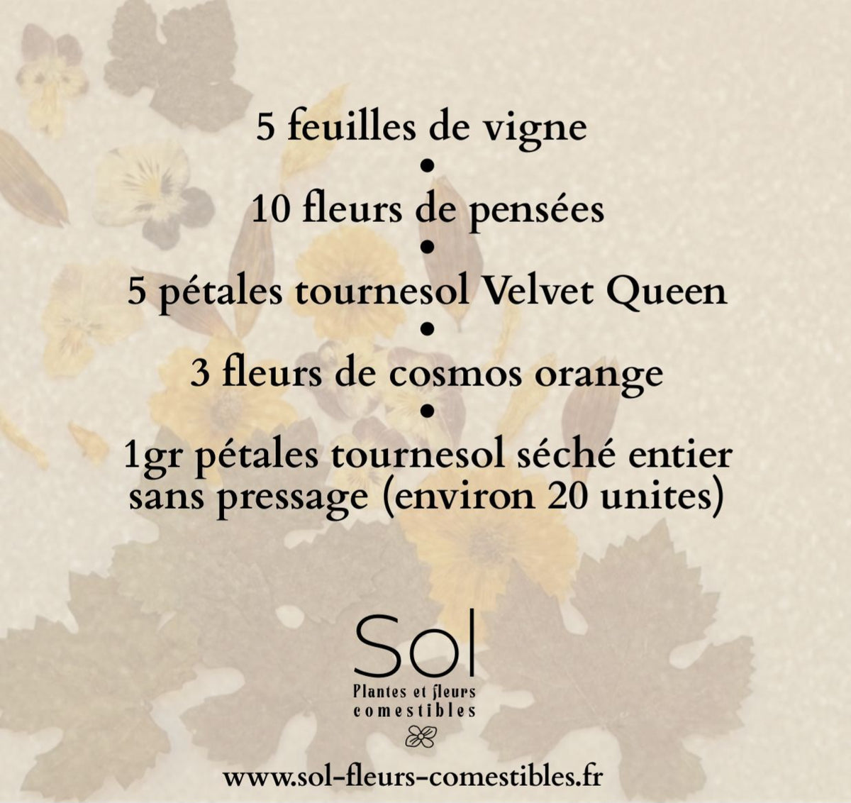 ASSORTIMENT COMESTIBLES PRESSE DECOR CAKE D'AUTOMNE